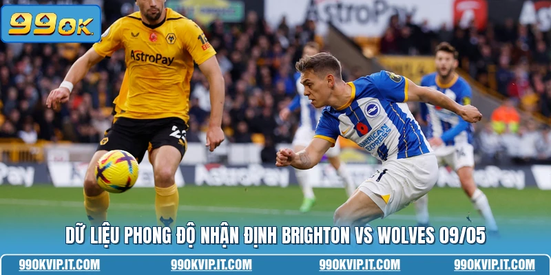 Nhận Định Brighton Vs Wolves 09/05 - Phân Tích Kèo Đấu Chuẩn Dữ liệu phong độ nhận định Brighton vs Wolves 09/05