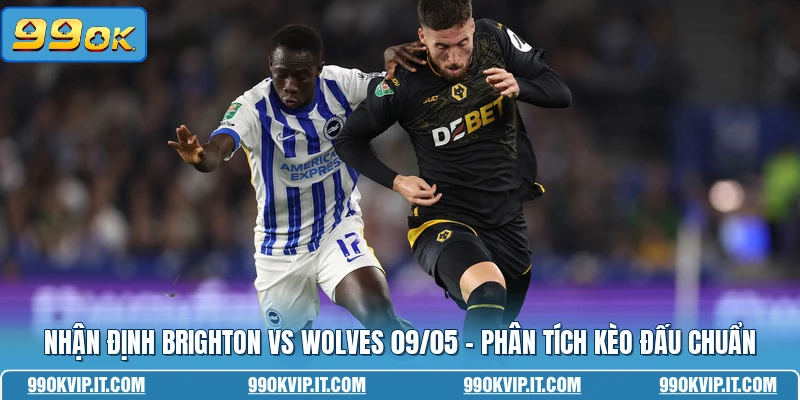 Nhận Định Brighton Vs Wolves 09/05 - Phân Tích Kèo Đấu Chuẩn