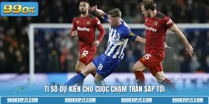 Nhận Định Brighton Vs Wolves 09/05 - Phân Tích Kèo Đấu Chuẩn Tỉ số dự kiến cho cuộc chạm trán sắp tới