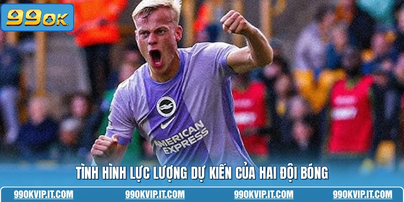 Nhận Định Brighton Vs Wolves 09/05 - Phân Tích Kèo Đấu Chuẩn Tình hình lực lượng dự kiến của hai đội bóng